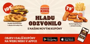 Burger King katalog v Hlučín | Hladu Odzvonilo s Našimi Novými Kupónz | 2024-07-09 - 2024-09-22