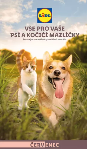 Lidl katalog v Prostějov | Vše pro vaše psí a kočičí mazlíčky | 2024-07-22 - 2024-07-28