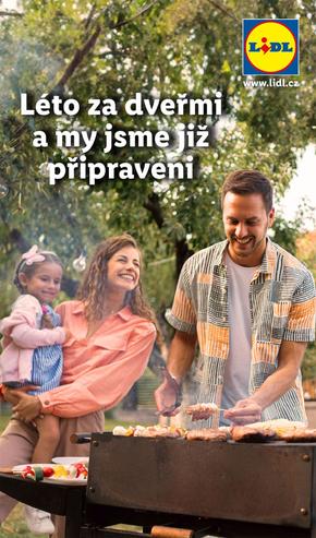 Lidl katalog v Hradec Králové | Léto za dveřmi a my jsme již připraveni | 2024-06-27 - 2024-08-31